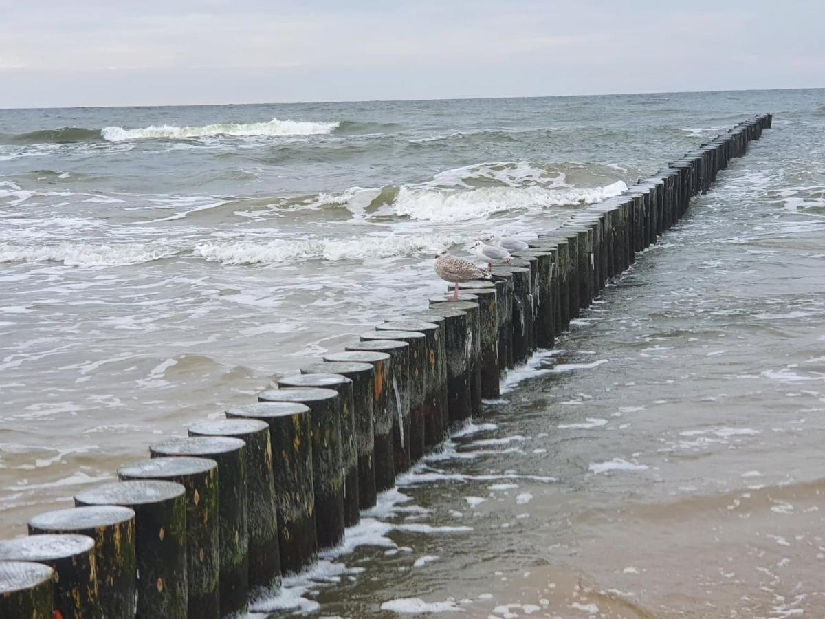 Baltic Cliff Apartamenty Niechorze Ngoại thất bức ảnh